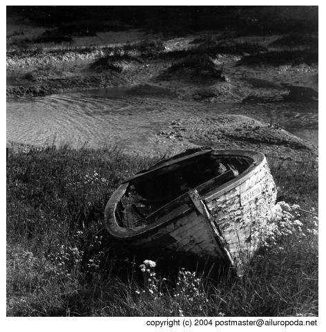 Rotting boat