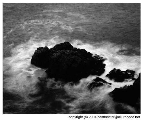 Sea's fury